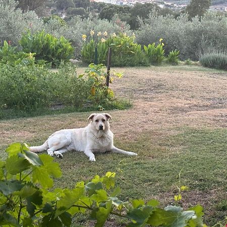 Casa Rural La Recuera Montánchez Екстериор снимка