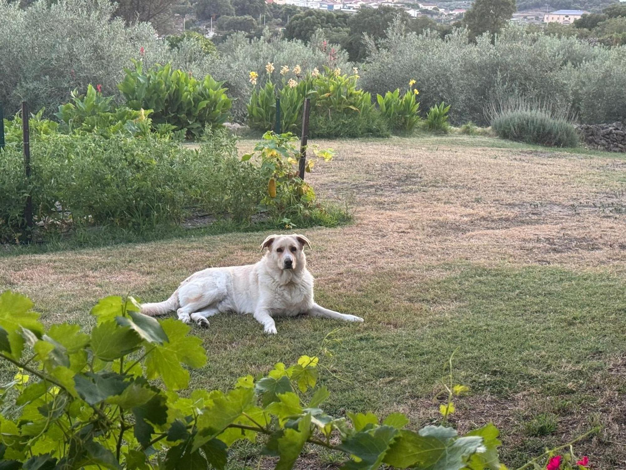 Casa Rural La Recuera Montánchez Екстериор снимка