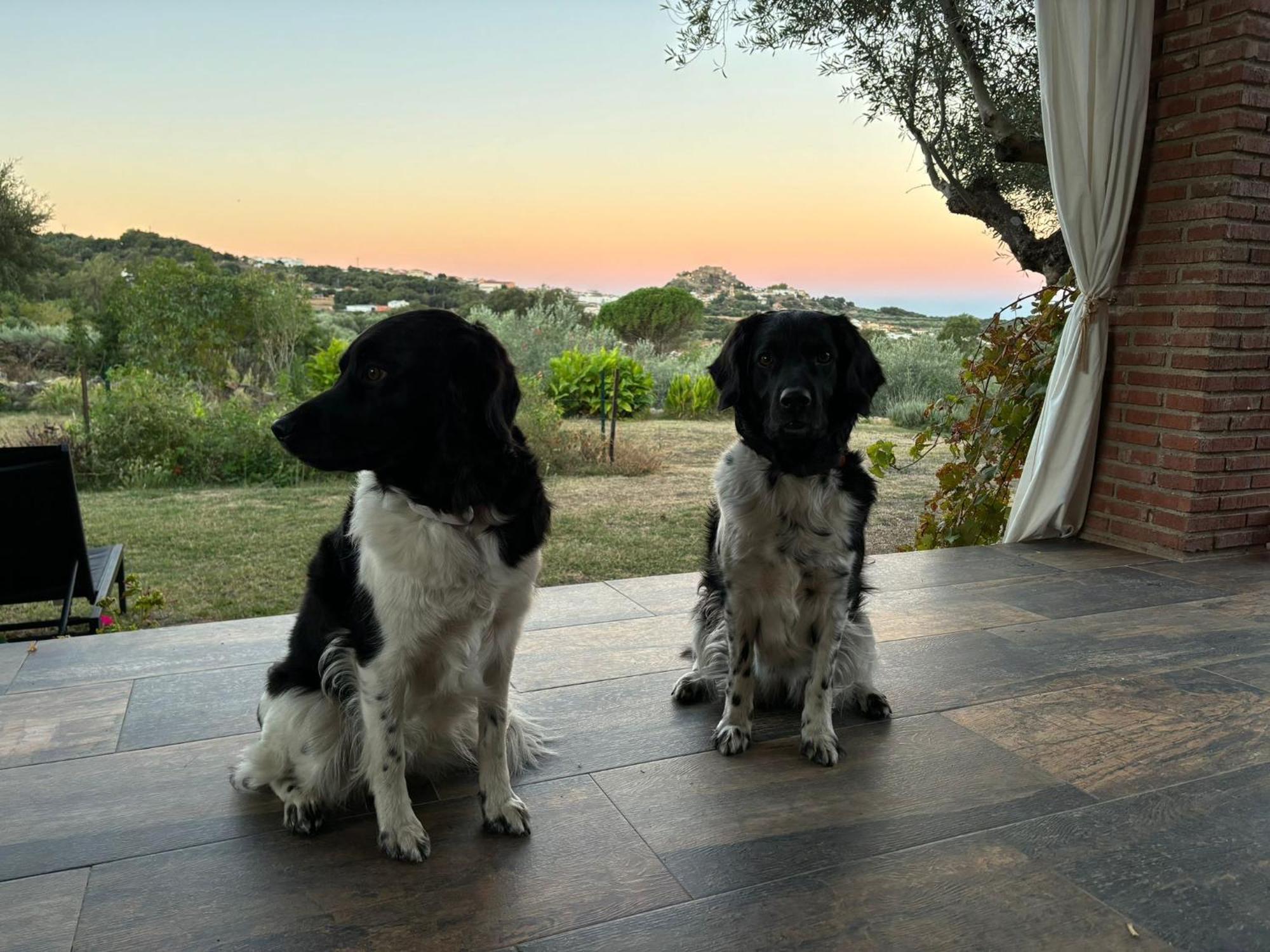 Casa Rural La Recuera Montánchez Екстериор снимка